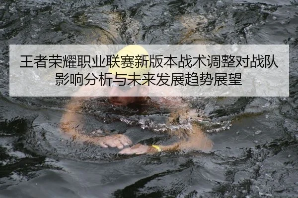 王者荣耀职业联赛新版本战术调整对战队影响分析与未来发展趋势展望