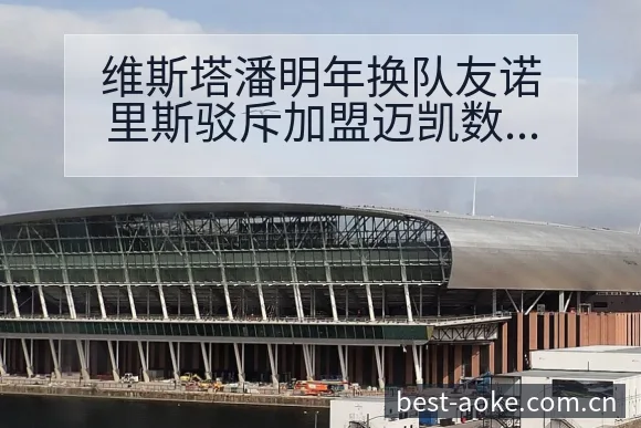 维斯塔潘明年换队友诺里斯驳斥加盟迈凯数据对比与趋势观察赛 - 澳客